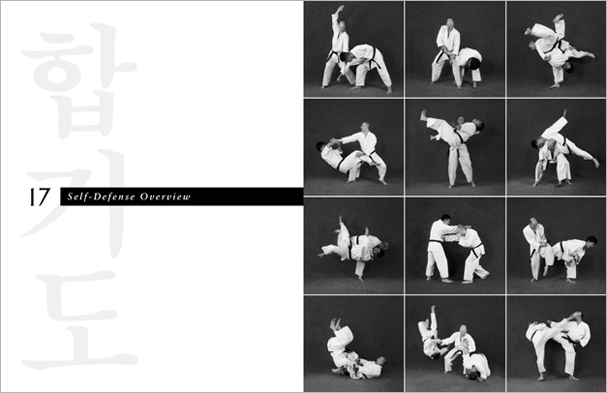 Sample pages from 'Hapkido', the most comprehensive book ever written on a single martial art; 1136 pages, 9000 photos, 2000 martial techniques.