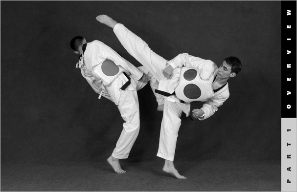 Sample pages from 'Taekwondo', the most comprehensive book ever written on the world's most popular martial art; 896 pages, 8600 photos, Traditional and Olympic-Style.