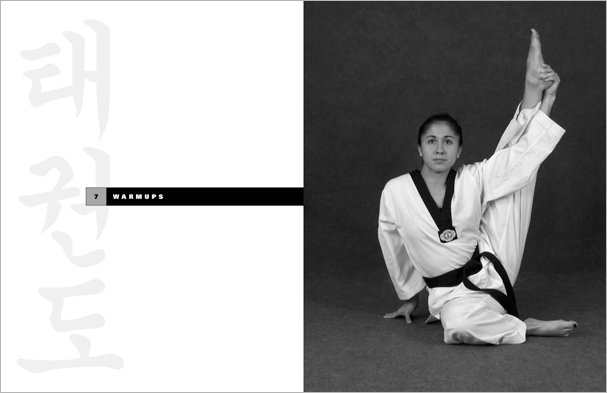 Sample pages from 'Taekwondo', the most comprehensive book ever written on the world's most popular martial art; 896 pages, 8600 photos, Traditional and Olympic-Style.