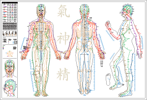 Essential Acupoints Poster. By Marc Tedeschi