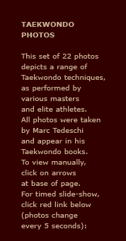 Taekwondo Photos: This set of 22 photos depicts a range of Taekwondo techniques, as performed by various masters and elite athletes. All photos were taken by Marc Tedeschi and appear in his Taekwondo books.To view manually, click on arrows at base of page. For timed slide-show, click red link below (photos change every 5 seconds).